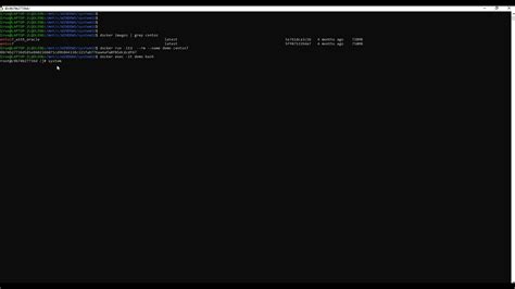 docker chmod operation not permitted.